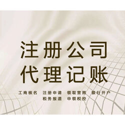 丰都公司 专业代理记账服务，助力企业轻松管账