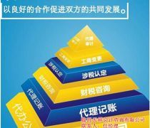 代理记账 优质商家置顶推荐产品与服务详解